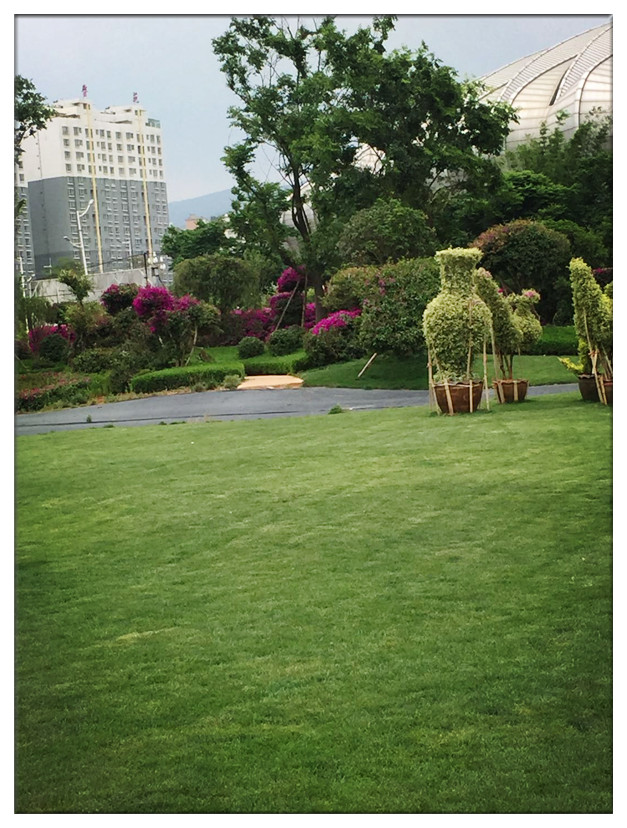 宜良現代農業產業園三角梅主題公園一期項目